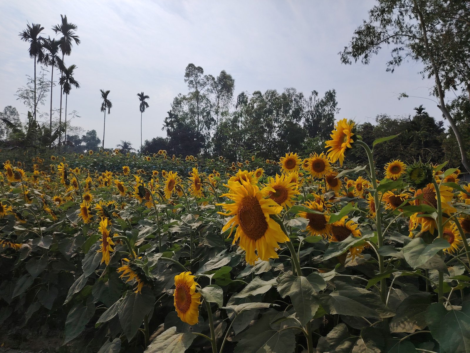 Where passion meets adventure